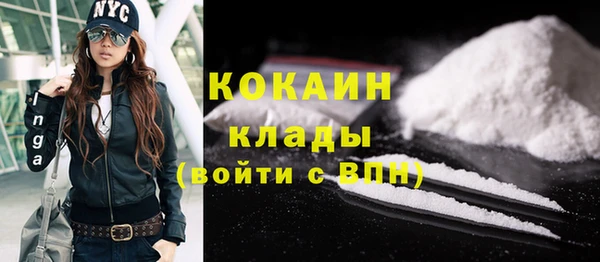 трава Коряжма