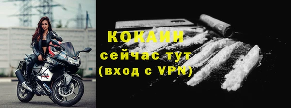 трава Коряжма