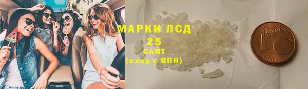 ешки Корсаков