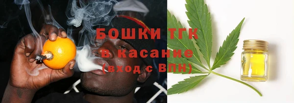 ешки Корсаков