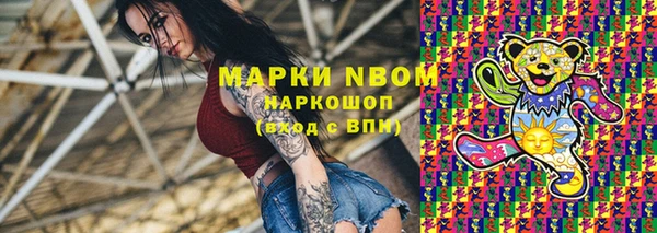 трава Коряжма
