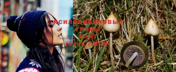 молекула духа Красноперекопск