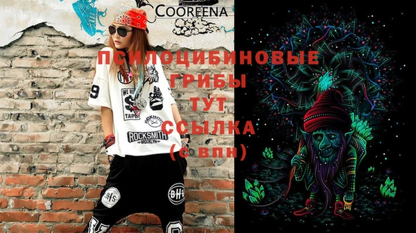 ешки Корсаков