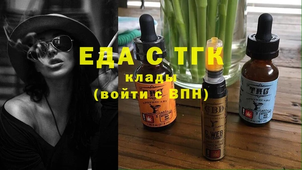 ешки Корсаков