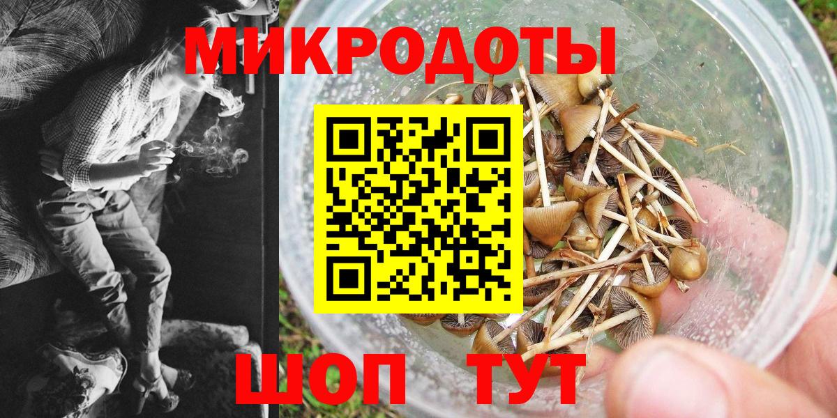 Галлюциногенные грибы прущие грибы  Вход с VPN  Михайловка  Галлюциногенные грибы Psilocybe 