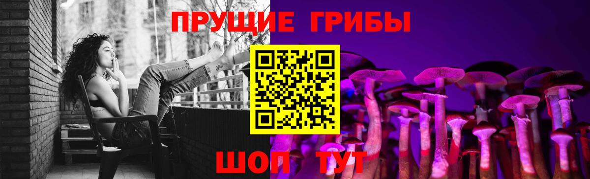 Галлюциногенные грибы Magic Shrooms  купить наркотики цена  Псилоцибиновые грибы Psilocybe  Михайловка 